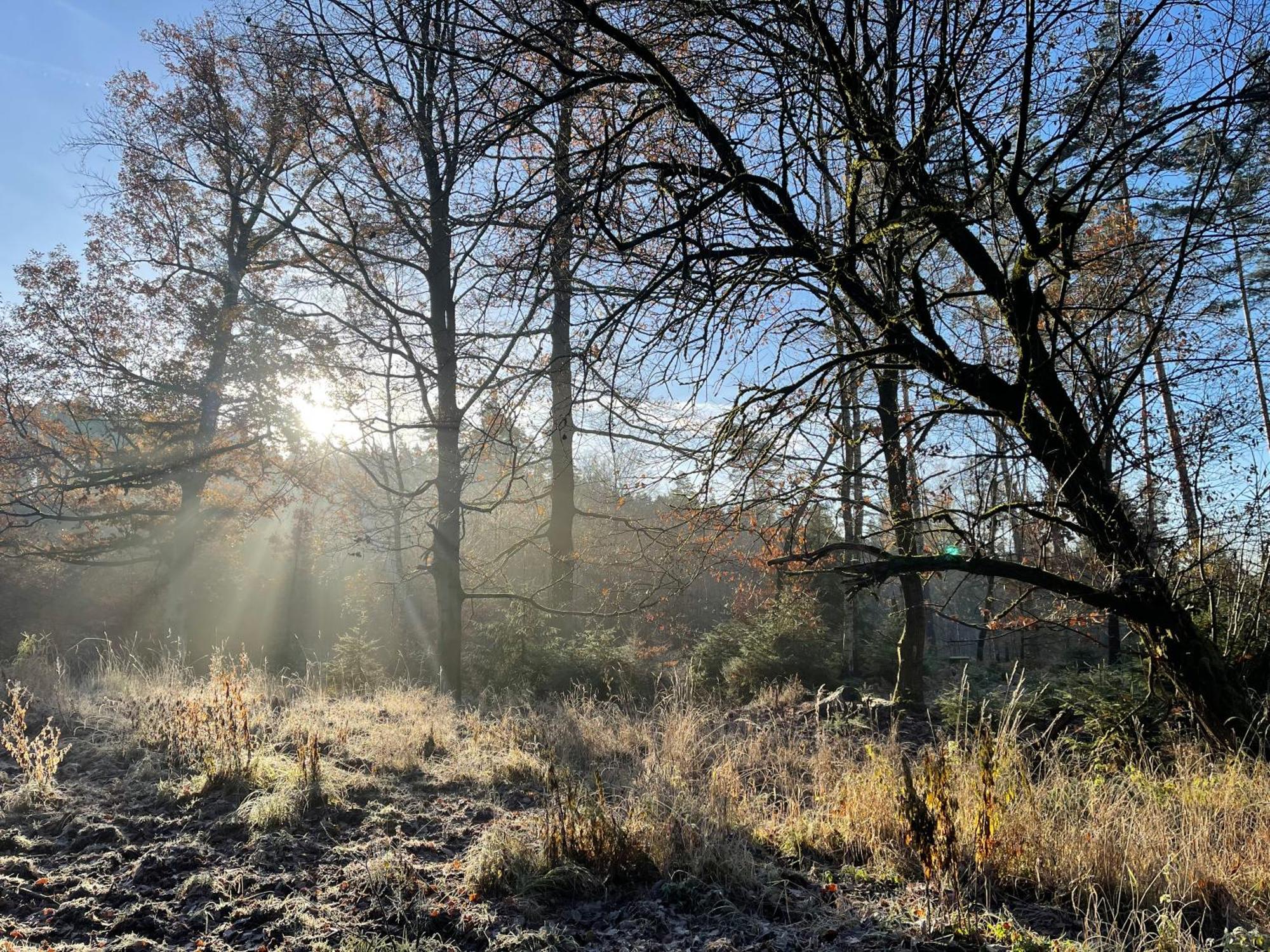 Waldhotel Linzmuehle Kahla  Luaran gambar