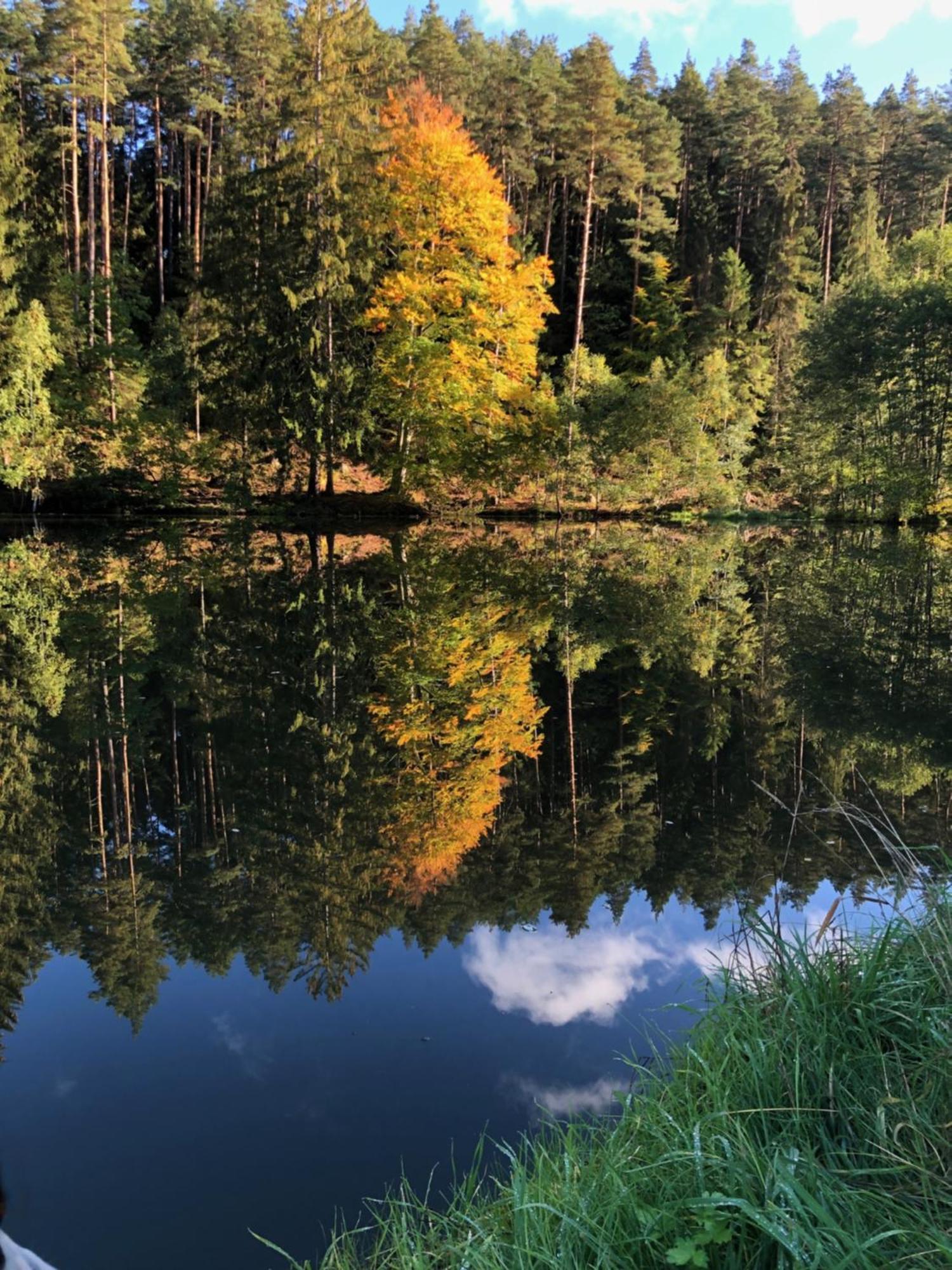 Waldhotel Linzmuehle Kahla  Luaran gambar